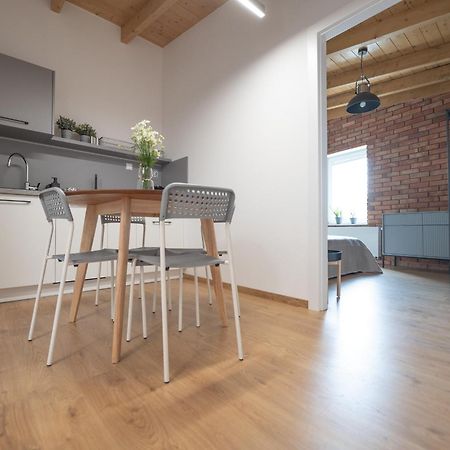 Apartamenty Mlynska 5 Бельско-Бяла Экстерьер фото