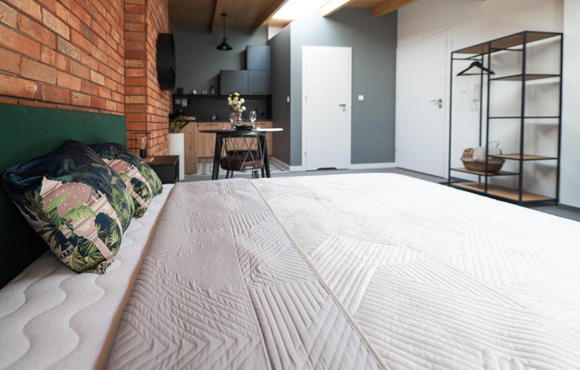 Apartamenty Mlynska 5 Бельско-Бяла Экстерьер фото